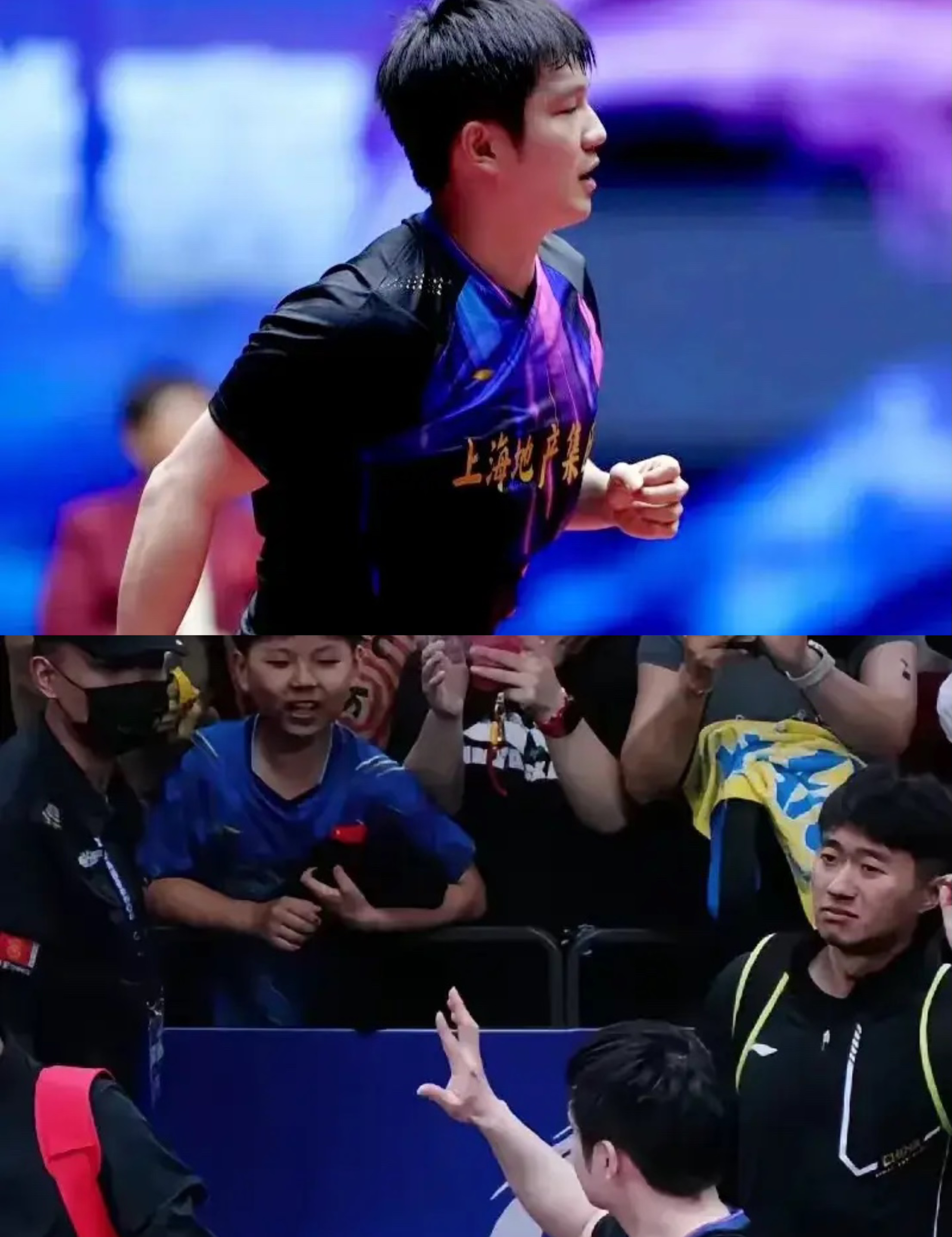 日本乒乓球队险胜比利时乒乓球队,樊振东制霸全场的简单介绍 日本乒乓球队险胜比利时乒乓球队,樊振东制霸全场的简单介绍