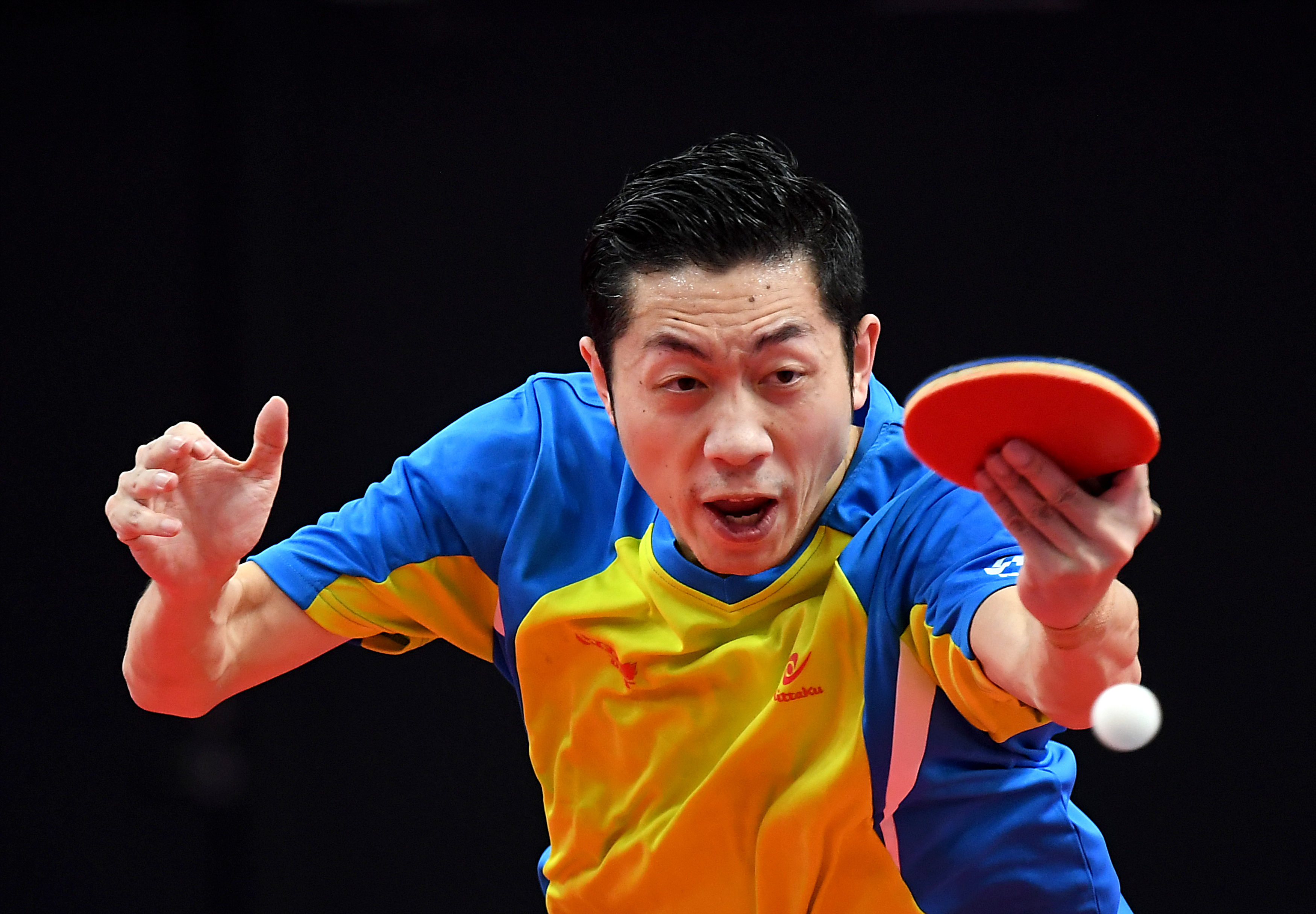 开云体育官方网站-包含波兰乒乓球队力克韩国乒乓球队，许昕高光表现的词条
