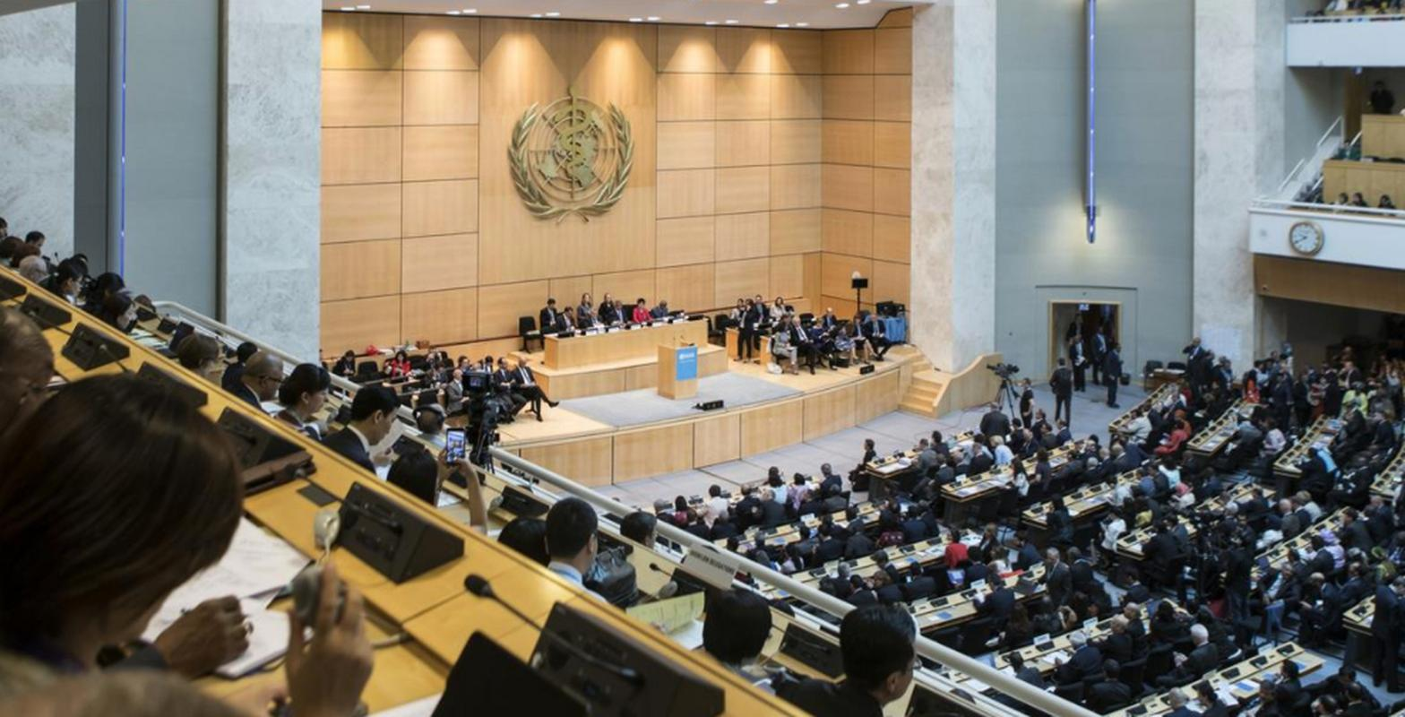 开云体育入口-巴勒斯坦队进入决赛，冲刺最终胜利