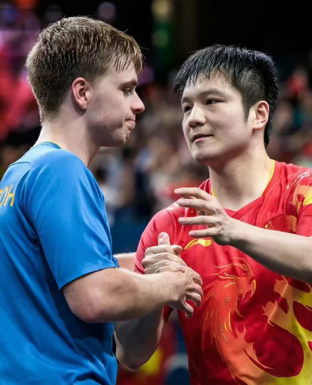 德国乒乓球队力克日本乒乓球队，波尔送出助攻的简单介绍