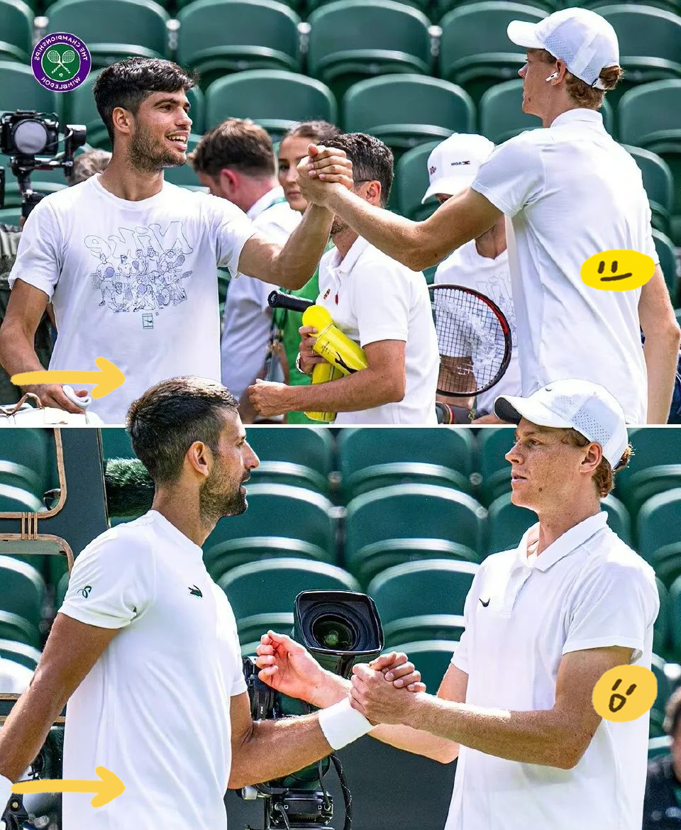 开云体育官方网站-法网碾压温网，穆雷惊艳四座的简单介绍