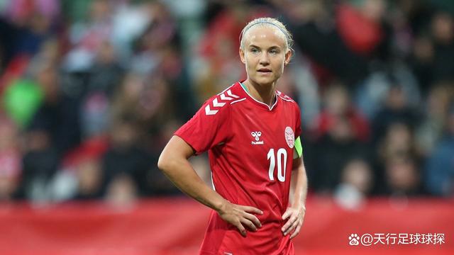 丹麦队逆转德国队，马琳高光表现的简单介绍