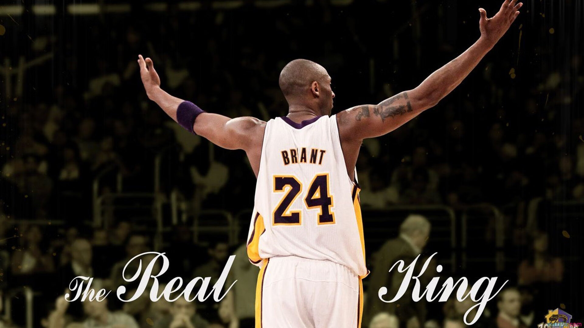 冰原之狼鏖战南粤虎,老将保罗加时定乾坤